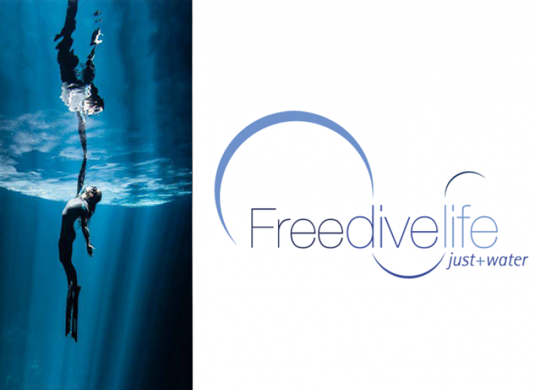 Free Dive Life